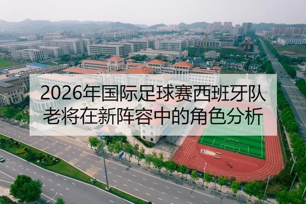 2026年国际足球赛西班牙队老将在新阵容中的角色分析