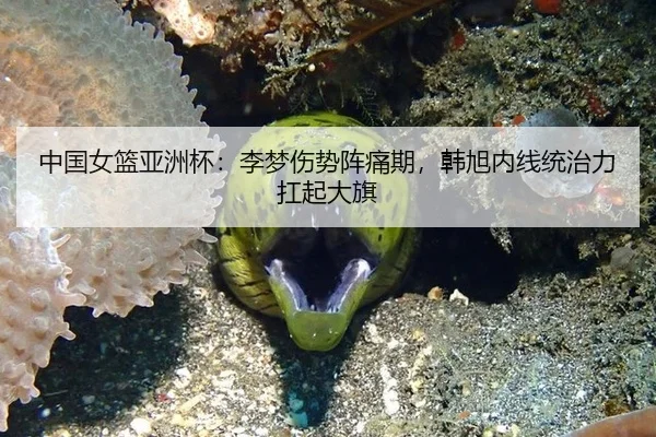 中国女篮亚洲杯：李梦伤势阵痛期，韩旭内线统治力扛起大旗