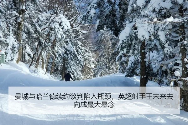 man-cheng-yu-ha-lan-de-xu-yue-tan-pan-xian-ru-ping-jing-ying-chao-she-shou-wang-wei-lai-qu-xiang-cheng-zui-da-xuan-nian-3-155.jpg