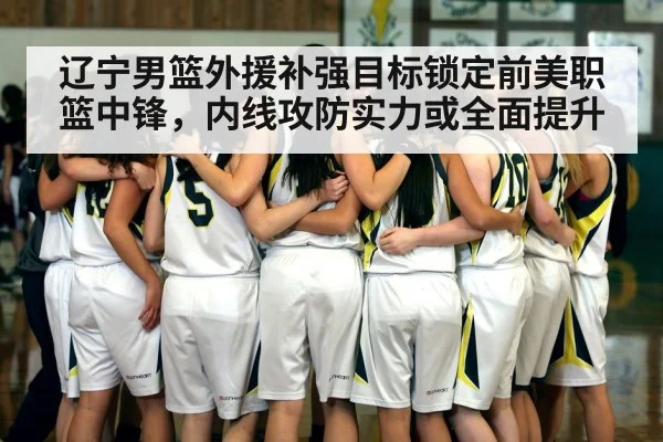 辽宁男篮外援补强目标锁定前美职篮中锋，内线攻防实力或全面提升