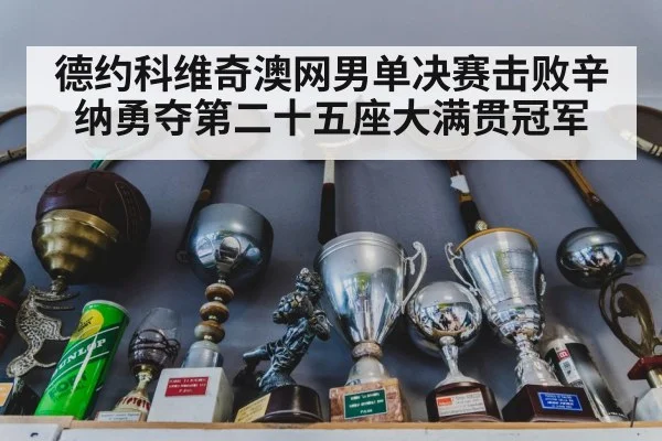 德约科维奇澳网男单决赛击败辛纳勇夺第二十五座大满贯冠军