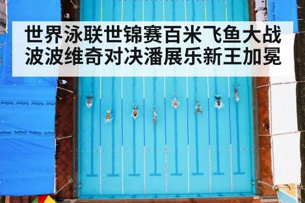 世界泳联世锦赛百米飞鱼大战波波维奇对决潘展乐新王加冕